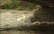 Fortes pluies mais pas d'inondation en région liégeoise